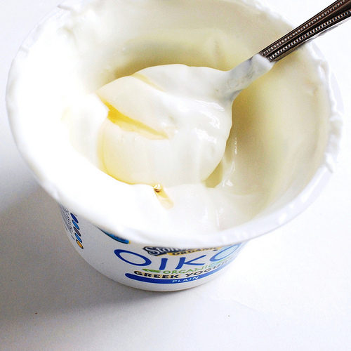 Fly in Yogurt